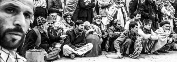 1355410779_241053_1355411033_album_normal