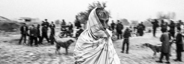 1355410779_241053_1355411078_album_normal