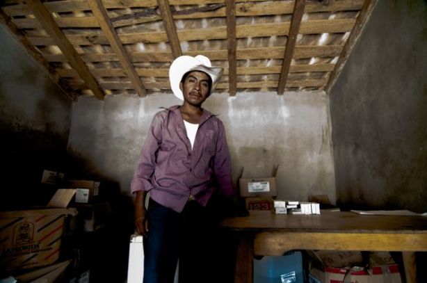 1415712362_244062_1415723241_album_normal