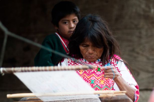 1415712362_244062_1415723835_album_normal