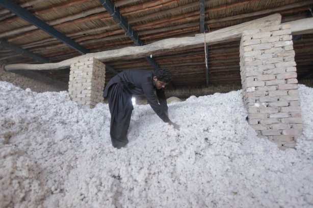 1418147947_332031_1418149289_album_normal