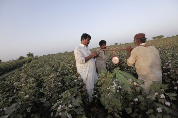 1418147947_332031_1418149292_album_normal