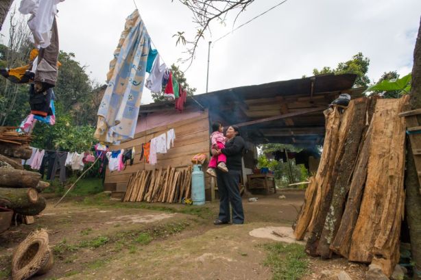 1421237471_263809_1421250267_album_normal